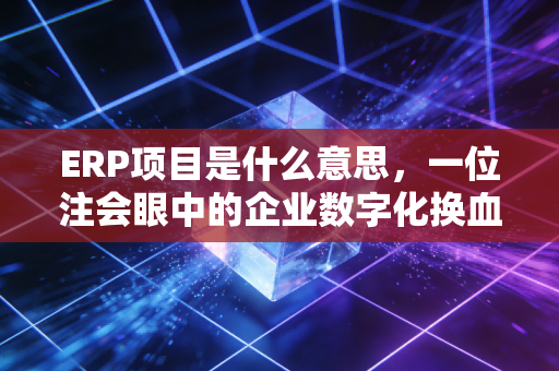 ERP项目是什么意思,一位注会眼中的企业数字化换血手术
