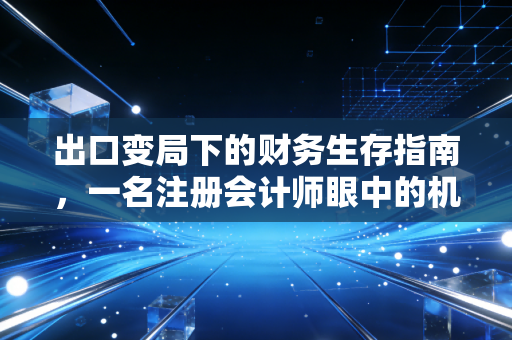 出口变局下的财务生存指南,一名注册会计师眼中的机遇与挑战