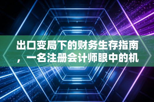 出口变局下的财务生存指南,一名注册会计师眼中的机遇与挑战