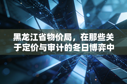黑龙江省物价局,在那些关于定价与审计的冬日博弈中,寻找民生的温度