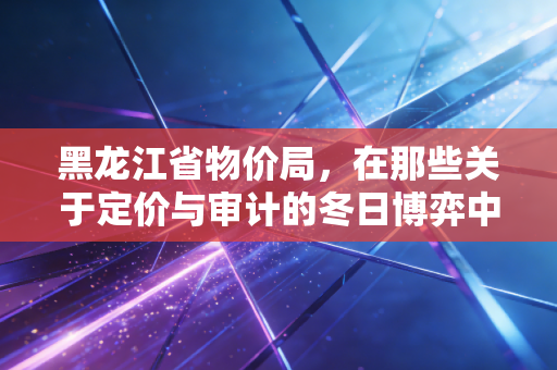 黑龙江省物价局,在那些关于定价与审计的冬日博弈中,寻找民生的温度