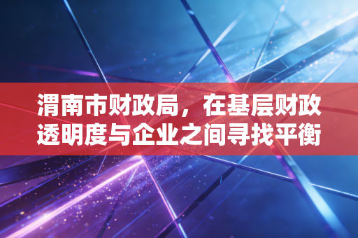 渭南市财政局,在基层财政透明度与企业之间寻找平衡的艺术