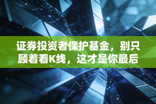 证券投资者保护基金，别只顾着看K线，这才是你最后的保命符