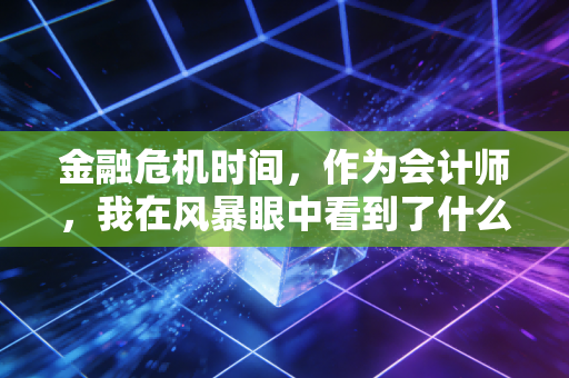 金融危机时间,作为会计师,我在风暴眼中看到了什么