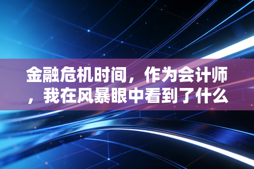 金融危机时间，作为会计师，我在风暴眼中看到了什么