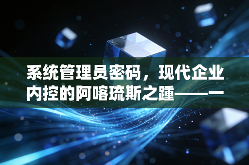 系统管理员密码,现代企业内控的阿喀琉斯之踵——一名注会审计师的深度反思