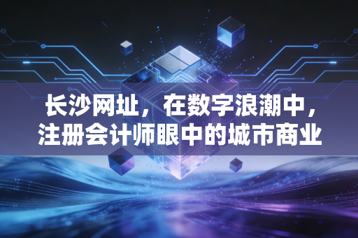 长沙网址，在数字浪潮中，注册会计师眼中的城市商业账本