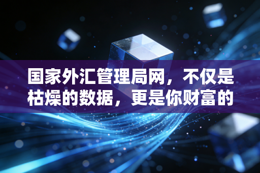国家外汇管理局网,不仅是枯燥的数据,更是你财富的守门人