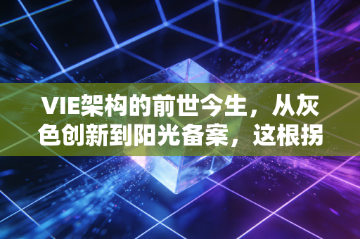 VIE架构的前世今生,从灰色创新到阳光备案,这根拐杖还能拄多久?