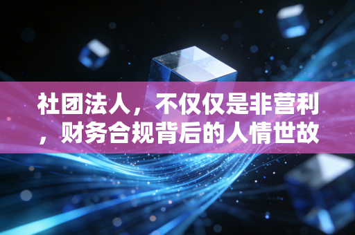 社团法人,不仅仅是非营利,财务合规背后的人情世故与税务雷区
