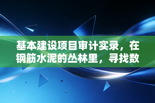 基本建设项目审计实录，在钢筋水泥的丛林里，寻找数字背后的真相