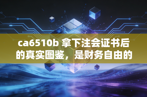 ca6510b 拿下注会证书后的真实图鉴，是财务自由的敲门砖，还是高压生活的入场券？