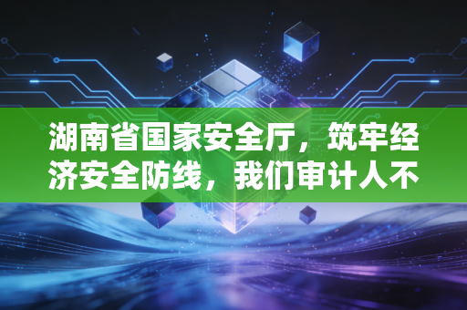 湖南省国家安全厅,筑牢经济安全防线,我们审计人不仅是看门人,更是吹哨人