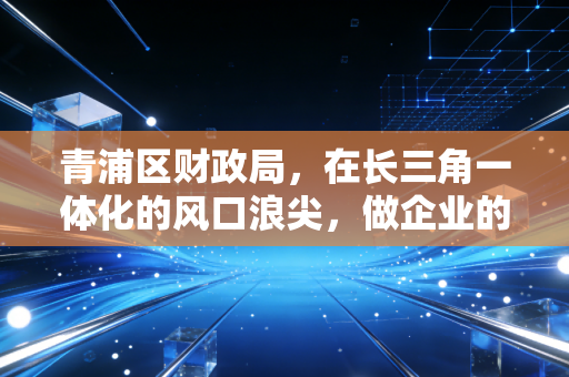 青浦区财政局，在长三角一体化的风口浪尖，做企业的摆渡人还是守夜人？