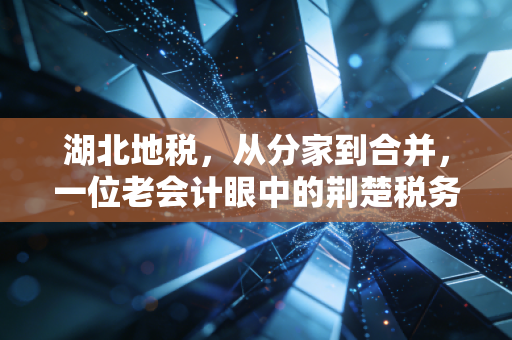 湖北地税，从分家到合并，一位老会计眼中的荆楚税务变迁史