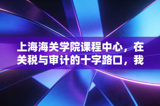 上海海关学院课程中心,在关税与审计的十字路口,我们该如何重塑职业竞争力?