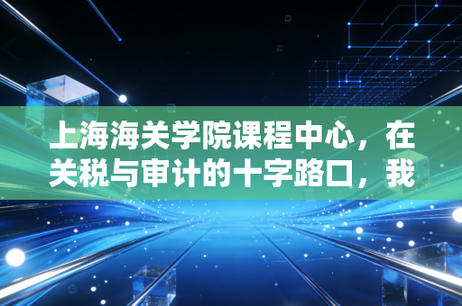 上海海关学院课程中心,在关税与审计的十字路口,我们该如何重塑职业竞争力?