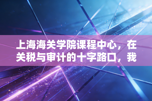上海海关学院课程中心，在关税与审计的十字路口，我们该如何重塑职业竞争力？
