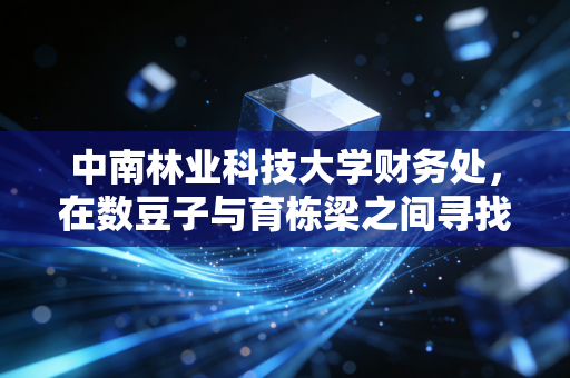 中南林业科技大学财务处,在数豆子与育栋梁之间寻找平衡的艺术