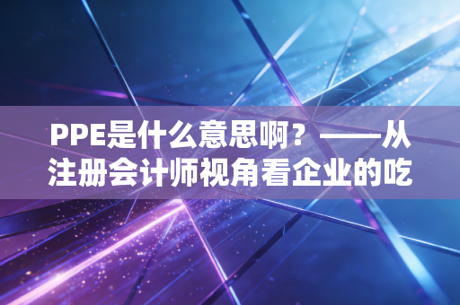 PPE是什么意思啊?——从注册会计师视角看企业的吃饭家伙