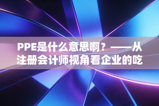 PPE是什么意思啊？——从注册会计师视角看企业的吃饭家伙