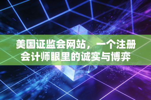 美国证监会网站，一个注册会计师眼里的诚实与博弈