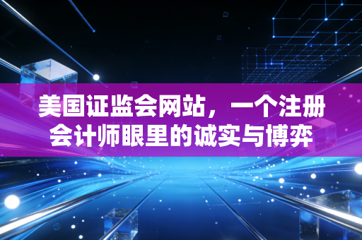 美国证监会网站，一个注册会计师眼里的诚实与博弈