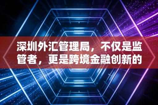 深圳外汇管理局，不仅是监管者，更是跨境金融创新的破冰者——一位注会眼中的深企出海实录