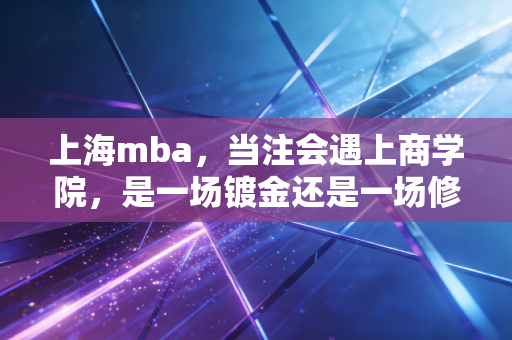 上海mba,当注会遇上商学院,是一场镀金还是一场修行?