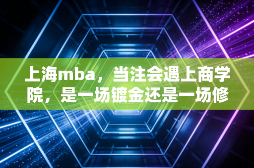 上海mba，当注会遇上商学院，是一场镀金还是一场修行？