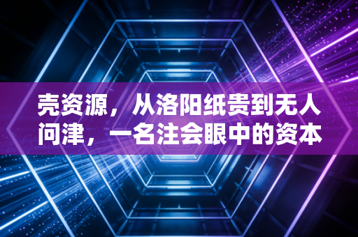壳资源，从洛阳纸贵到无人问津，一名注会眼中的资本江湖变迁