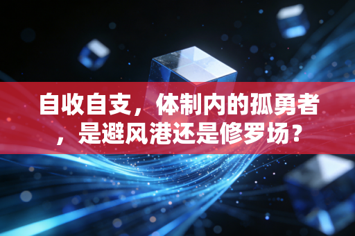 自收自支,体制内的孤勇者,是避风港还是修罗场?
