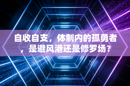 自收自支，体制内的孤勇者，是避风港还是修罗场？
