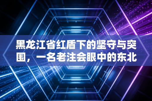 黑龙江省红盾下的坚守与突围，一名老注会眼中的东北审计生态