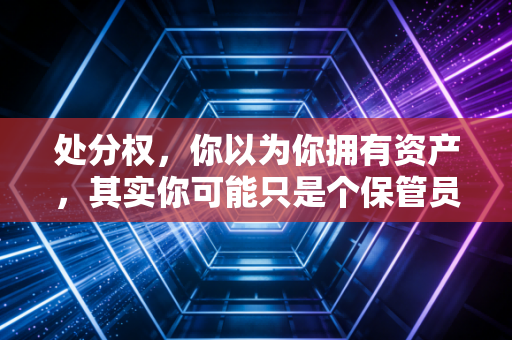 处分权，你以为你拥有资产，其实你可能只是个保管员——从会计视角看财富的终极控制