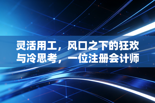 灵活用工，风口之下的狂欢与冷思考，一位注册会计师的深度剖析