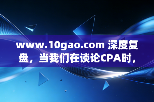 www.10gao.com 深度复盘，当我们在谈论CPA时，我们在谈论什么？——一个老注会眼中的行业变迁与职业救赎