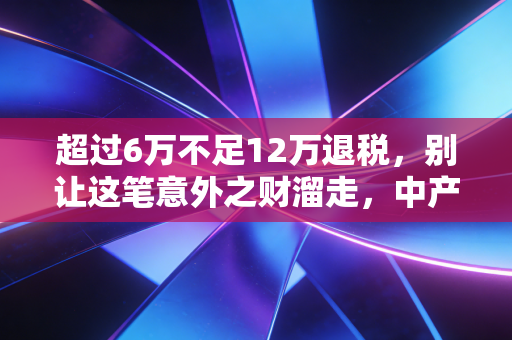 超过6万不足12万退税，别让这笔意外之财溜走，中产阶层的税务必修课