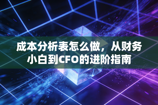 详细阅读:成本分析表怎么做,从财务小白到CFO的进阶指南 成本分析表怎么做,从财务小白到CFO的进阶指南