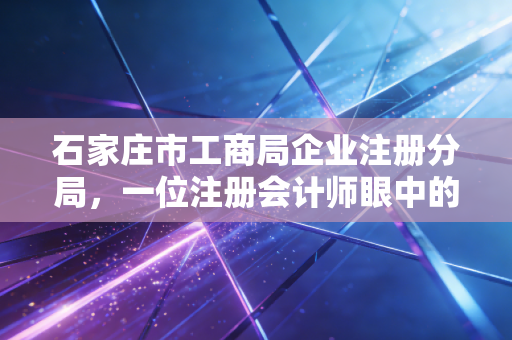 石家庄市工商局企业注册分局,一位注册会计师眼中的创业起跑线与那些不得不说的故事