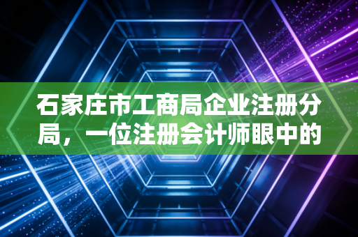 石家庄市工商局企业注册分局，一位注册会计师眼中的创业起跑线与那些不得不说的故事