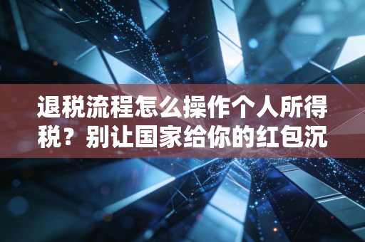 退税流程怎么操作个人所得税?别让国家给你的红包沉睡在账户里——资深注会手把手教学