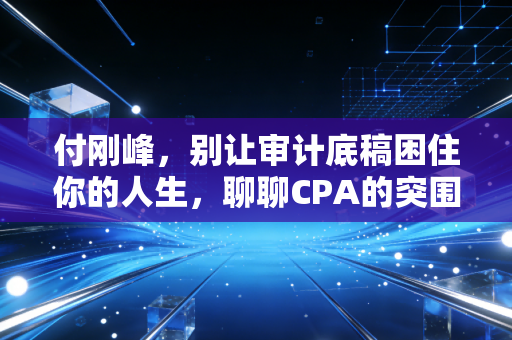 付刚峰，别让审计底稿困住你的人生，聊聊CPA的突围与坚守