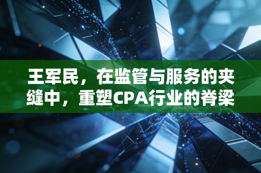 王军民,在监管与服务的夹缝中,重塑CPA行业的脊梁
