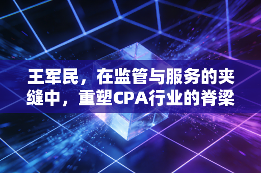 王军民,在监管与服务的夹缝中,重塑CPA行业的脊梁