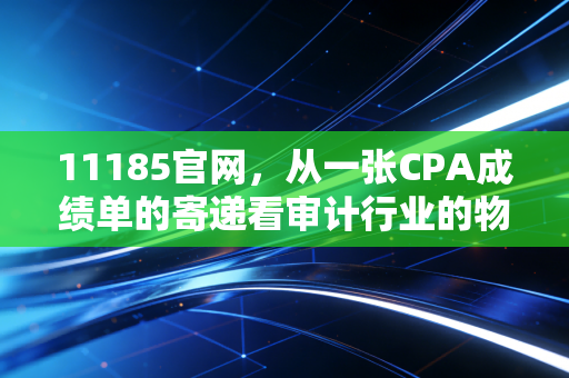 11185官网，从一张CPA成绩单的寄递看审计行业的物流焦虑与信任