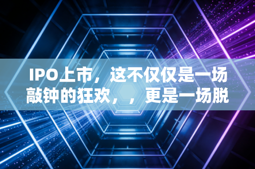 IPO上市,这不仅仅是一场敲钟的狂欢,,更是一场脱胎换骨的成人礼