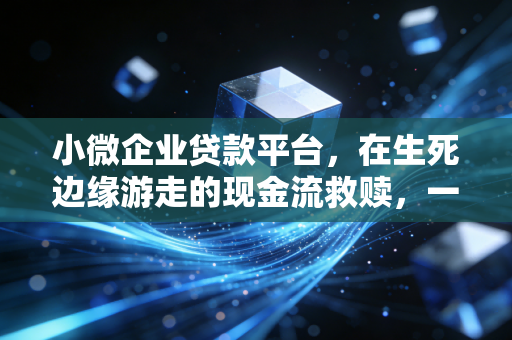 小微企业贷款平台，在生死边缘游走的现金流救赎，一位注会老炮的真心话