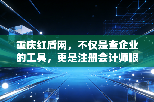 重庆红盾网，不仅是查企业的工具，更是注册会计师眼中的商业体检中心