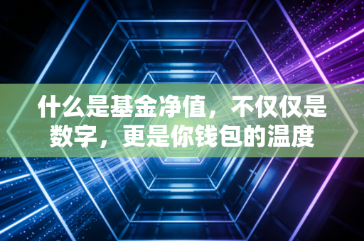 详细阅读:什么是基金净值,不仅仅是数字,更是你钱包的温度 什么是基金净值,不仅仅是数字,更是你钱包的温度